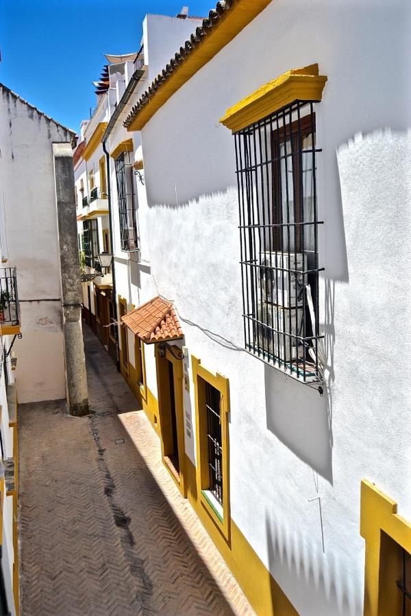 Acogedor Apt 8Pax 4Bdr 2Bth - Cozyhomesevilla1 エクステリア 写真