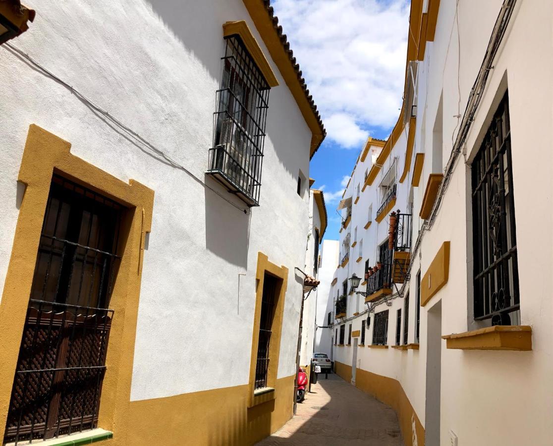 Acogedor Apt 8Pax 4Bdr 2Bth - Cozyhomesevilla1 エクステリア 写真