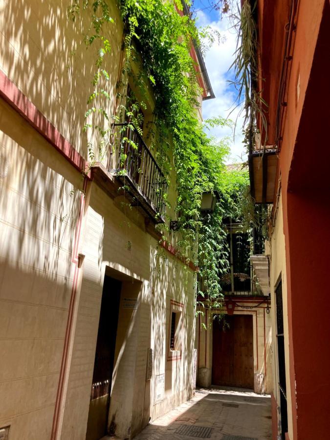 Acogedor Apt 8Pax 4Bdr 2Bth - Cozyhomesevilla1 エクステリア 写真